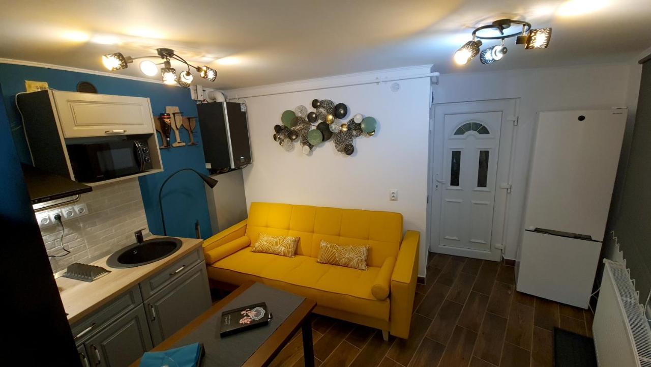 Magnolia Central Apartment #1 Сигишоара Экстерьер фото